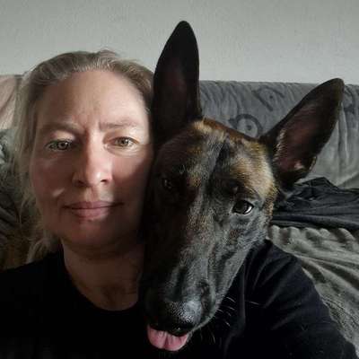 Hundetreffen-Spielen und sozialisieren-Bild