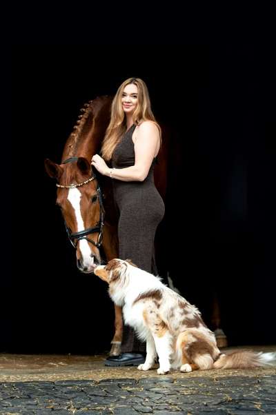 Weiterbildung Tiergestützte Pädagogin-Beitrag-Bild