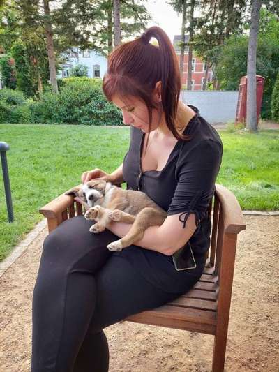 Foto Challenge 82-Beitrag-Bild