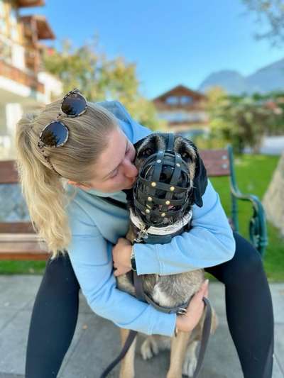 Hundetreffen-Social Walk-Bild