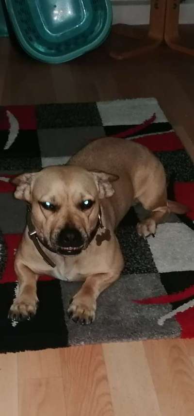 Handy-foto Challange nr. 11-Beitrag-Bild