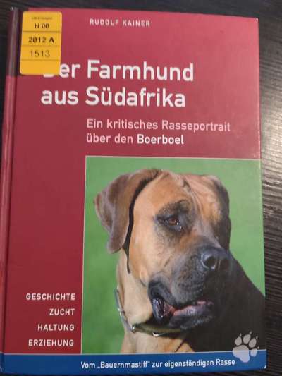 Boerboels-Beitrag-Bild