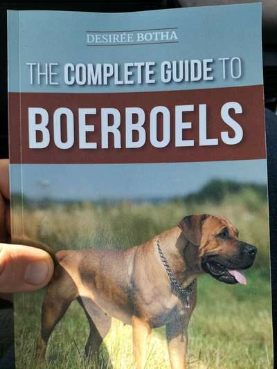 Boerboels-Beitrag-Bild