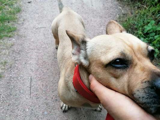 Handy-Foto Challange Nr. 10-Beitrag-Bild