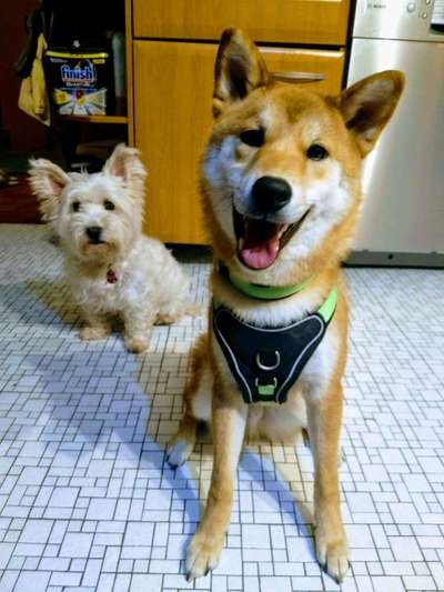 Immer lächeln !-Beitrag-Bild