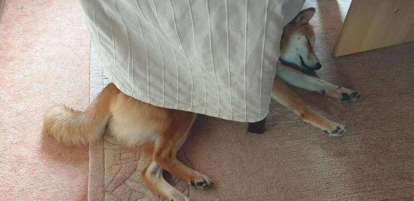 Die unbequemsten und lustigsten Schlafpositionen-Beitrag-Bild