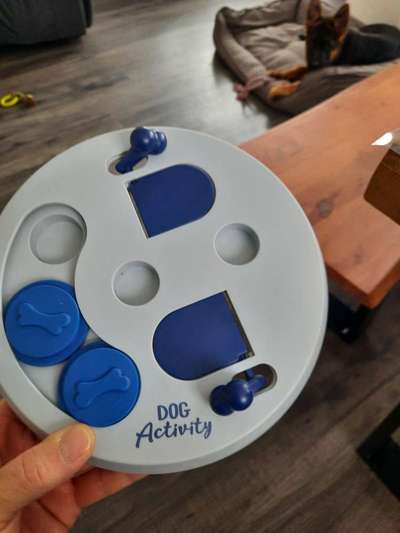 Indoor Beschäftigung-Beitrag-Bild