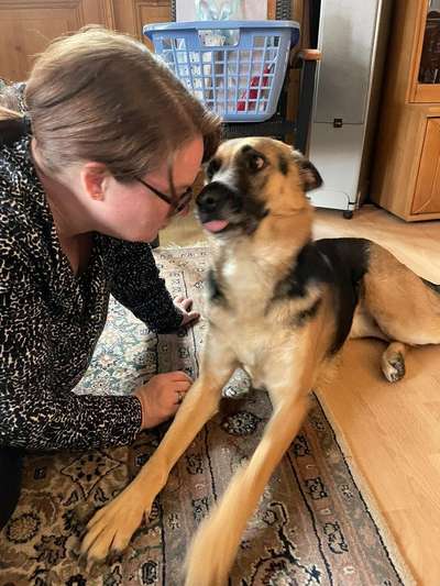 Dogorama Photo Challenge - besondere Eigenschaften-Beitrag-Bild