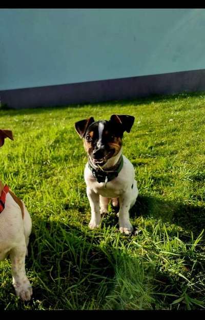 Fotochallenge Nr.122-Beitrag-Bild