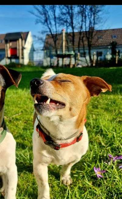 Fotochallenge Nr.122-Beitrag-Bild