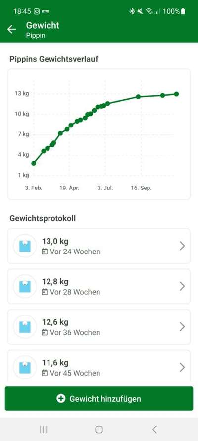 Welpe untergewichtig-Beitrag-Bild