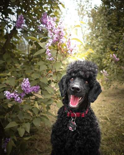 Das beste grinsefoto-Beitrag-Bild