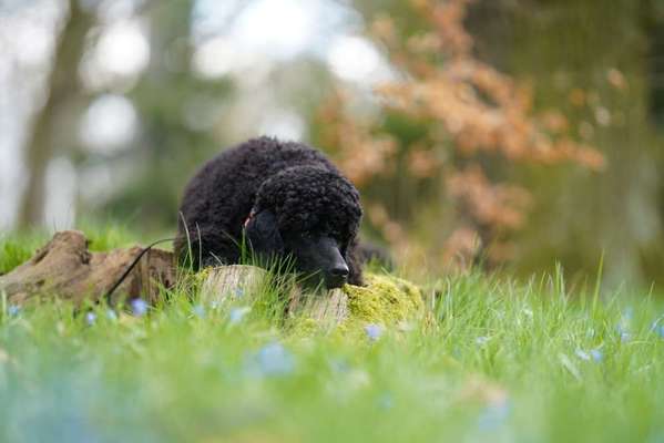 Austausch zur Fotografie-Beitrag-Bild