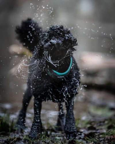 Eure schönsten Fotos mit Wasser-Beitrag-Bild