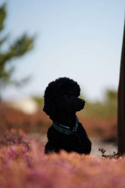 Austausch zur Fotografie-Beitrag-Bild