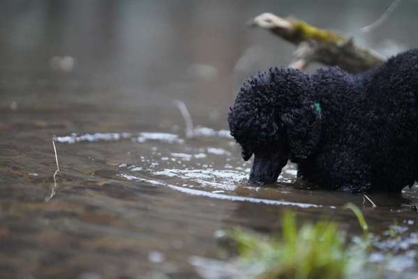 "Die eingefangene Magie des Augenblicks"-Beitrag-Bild