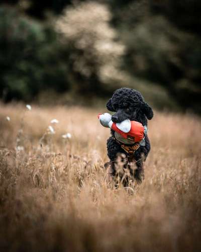 Zeigt eure schönsten Sommerbilder-Beitrag-Bild