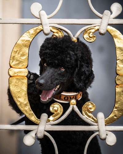 Austausch zur Fotografie-Beitrag-Bild