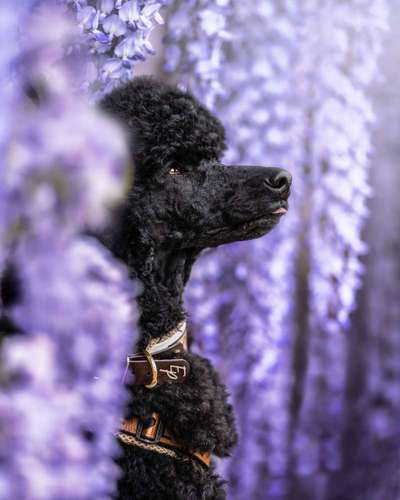 19. Farben  Fottochallenge :
Lieblingsfarbe-Beitrag-Bild