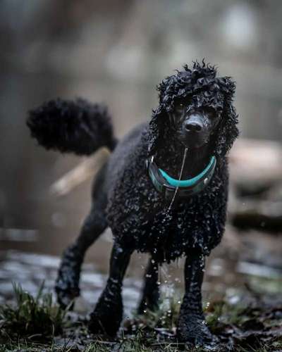 Eure schönsten Fotos mit Wasser-Beitrag-Bild