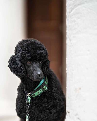 Austausch zur Fotografie-Beitrag-Bild