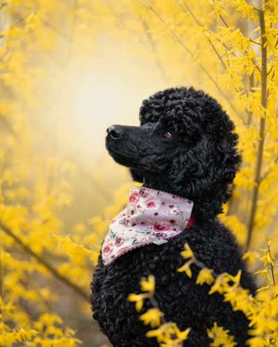 Austausch zur Fotografie-Beitrag-Bild