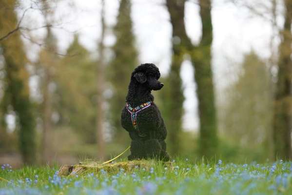 Austausch zur Fotografie-Beitrag-Bild