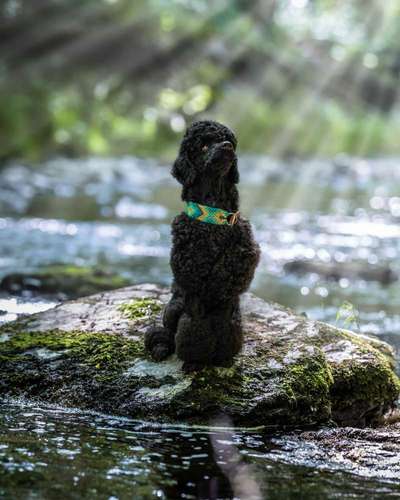 Austausch zur Fotografie-Beitrag-Bild