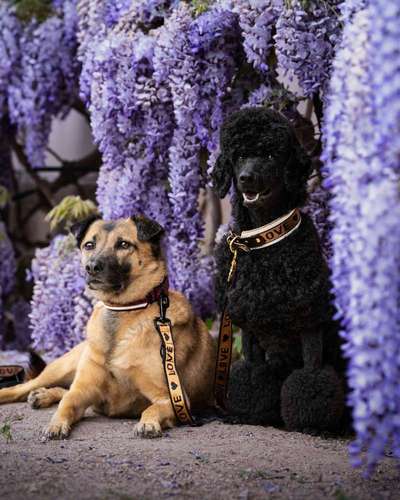 Austausch zur Fotografie-Beitrag-Bild