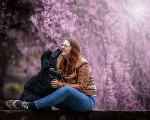 Dogorama Photo Challenge - Liebesbeweis-Beitrag-Bild