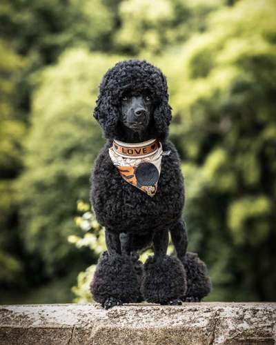 Zeigt eure schönsten Sommerbilder-Beitrag-Bild