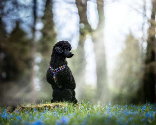 10. Farben Foto-Challenge ---- Blau-Beitrag-Bild