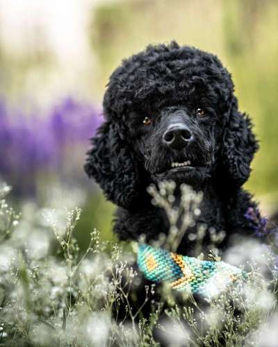 Austausch zur Fotografie-Beitrag-Bild