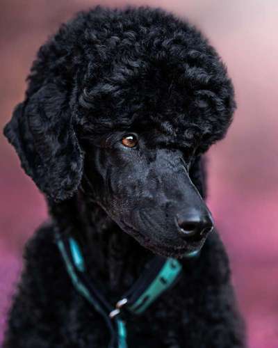 Austausch zur Fotografie-Beitrag-Bild