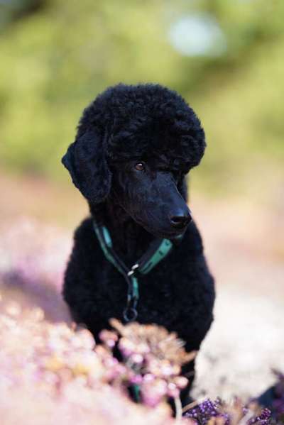 Austausch zur Fotografie-Beitrag-Bild