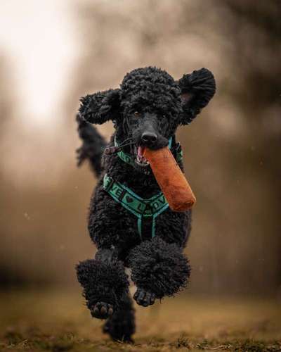 Austausch zur Fotografie-Beitrag-Bild