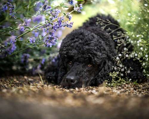 Austausch zur Fotografie-Beitrag-Bild