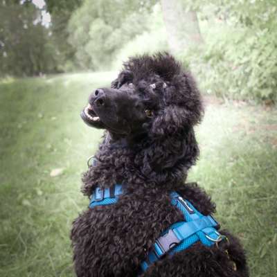 Photoshop und Co.-Beitrag-Bild