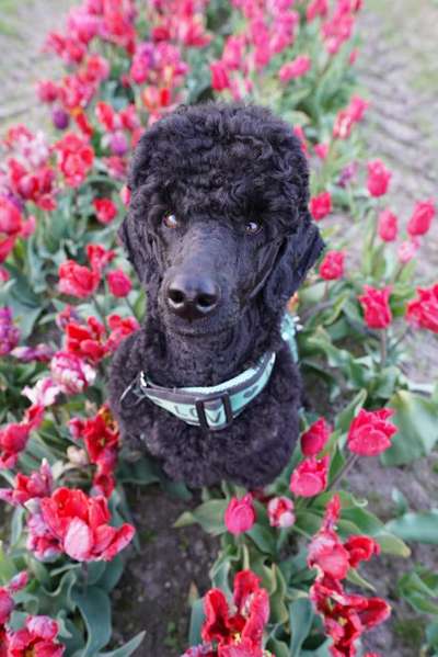 Austausch zur Fotografie-Beitrag-Bild