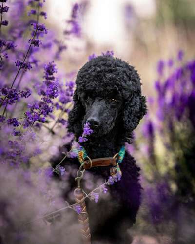Austausch zur Fotografie-Beitrag-Bild