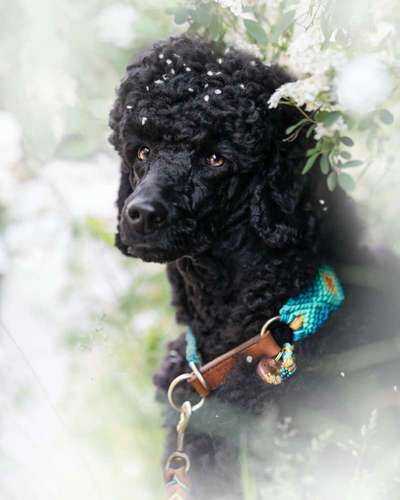 Austausch zur Fotografie-Beitrag-Bild