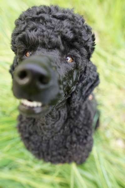 Austausch zur Fotografie-Beitrag-Bild