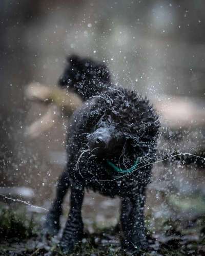 Austausch zur Fotografie-Beitrag-Bild