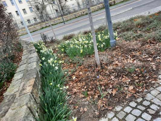 Austausch zur Fotografie-Beitrag-Bild