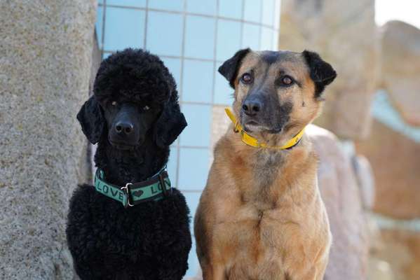 Austausch zur Fotografie-Beitrag-Bild