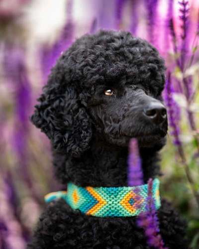 Austausch zur Fotografie-Beitrag-Bild