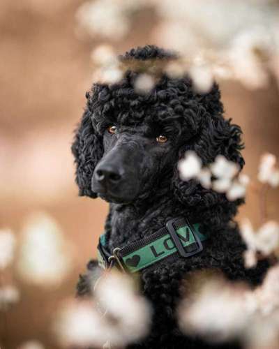 Austausch zur Fotografie-Beitrag-Bild