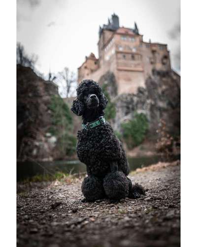 Austausch zur Fotografie-Beitrag-Bild