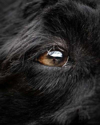 Fotochallenge Glanzbilder,du glänzt so schön-Beitrag-Bild