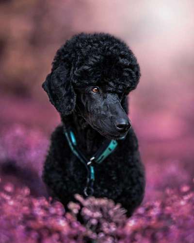 Austausch zur Fotografie-Beitrag-Bild